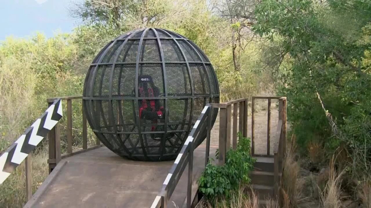 I’m a Celebrity 10-9