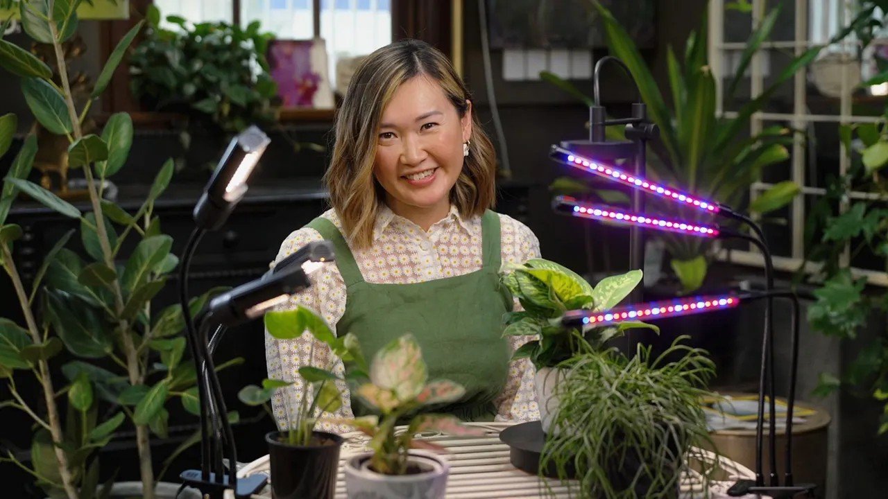 Gardening Australia 35-15