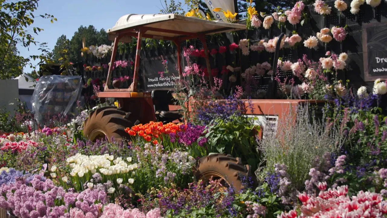 Gardening Australia 35-19