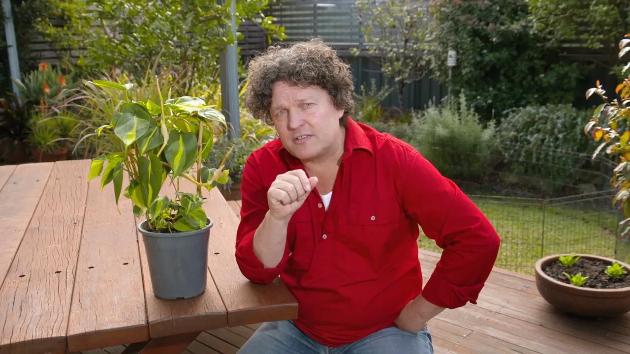 Gardening Australia 35-22