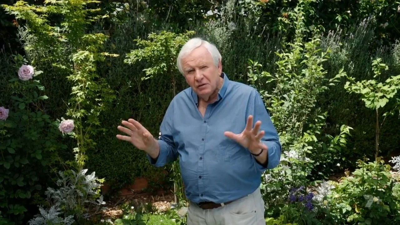 Better Homes and Gardens 31-6
