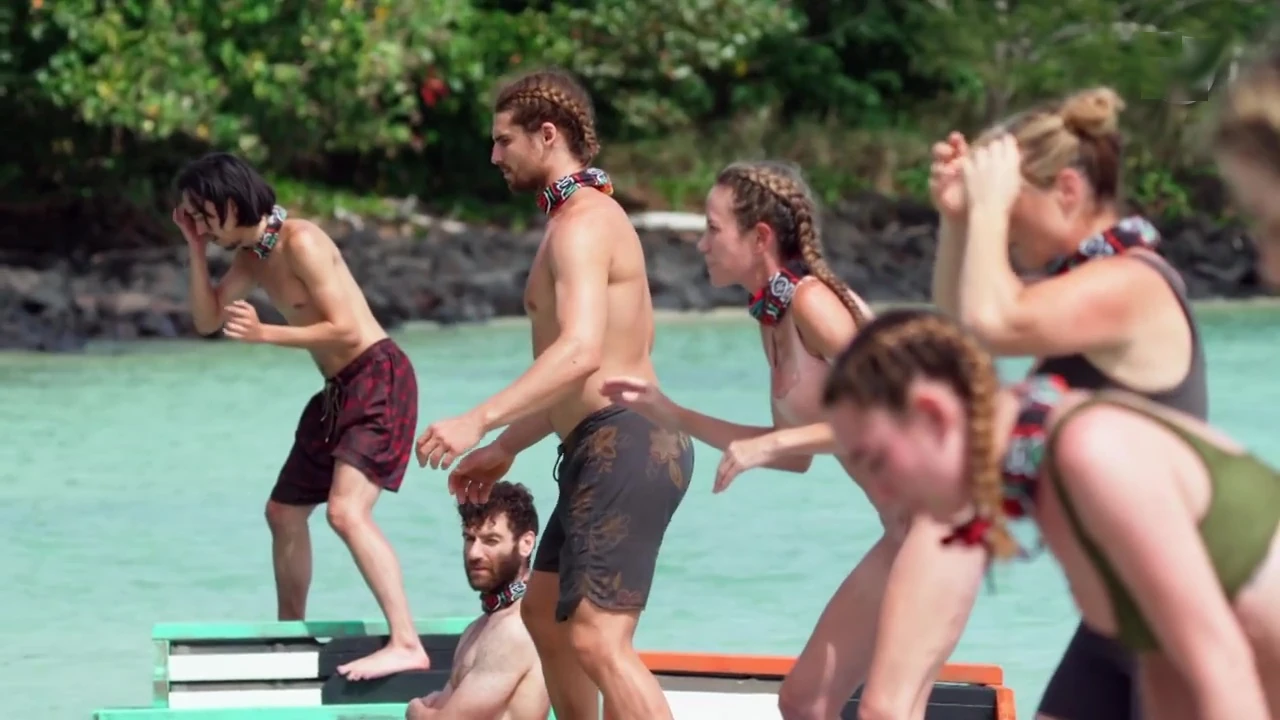Survivor 12-19