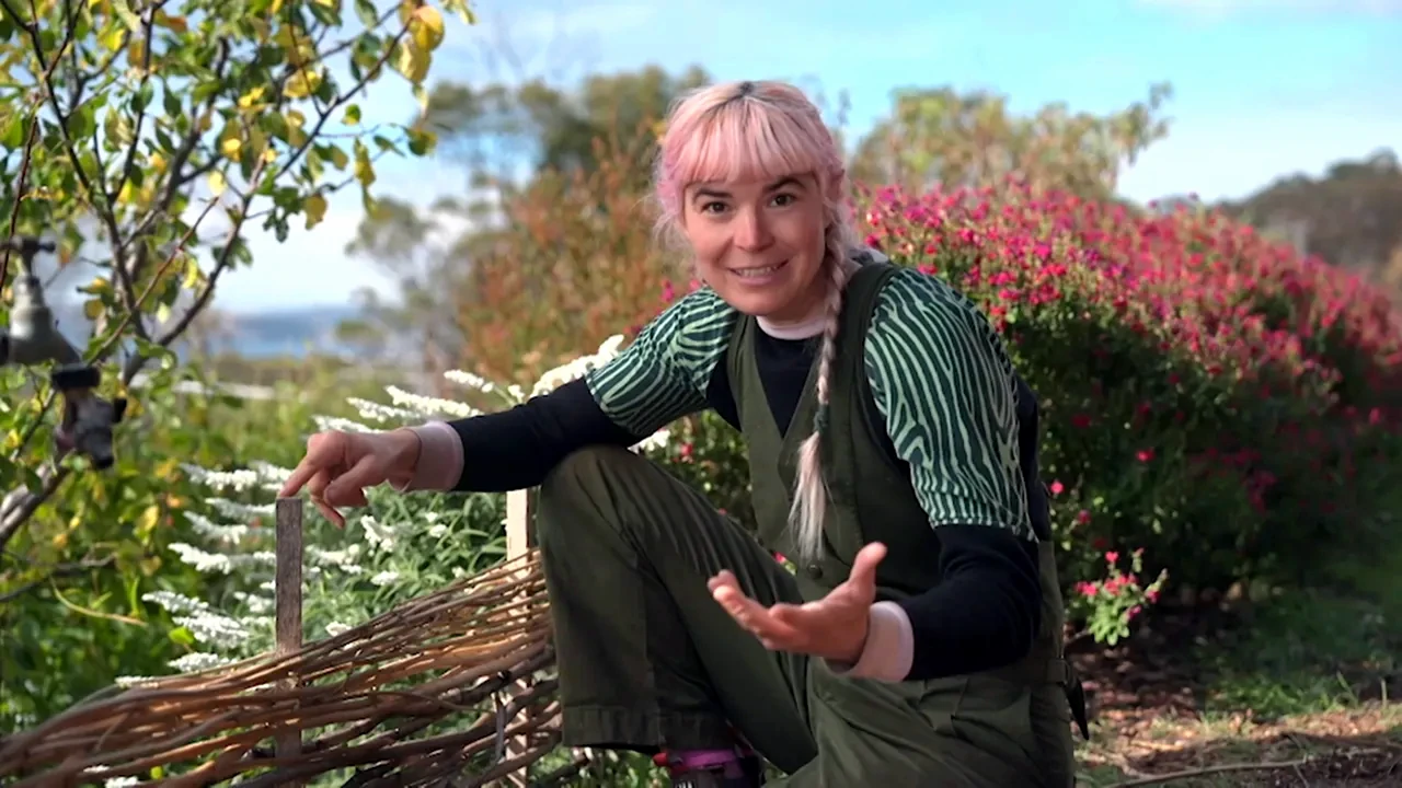 Gardening Australia 36-11