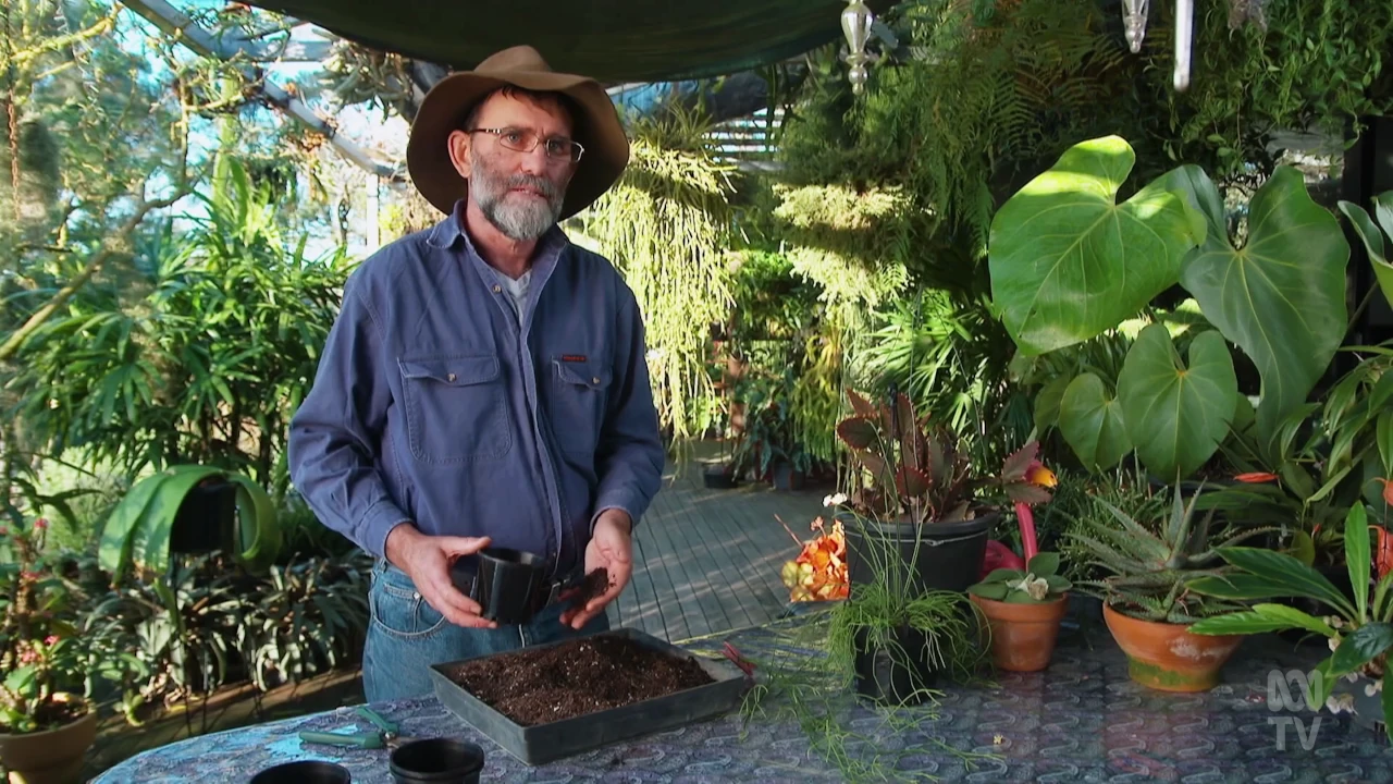 Gardening Australia 36-21