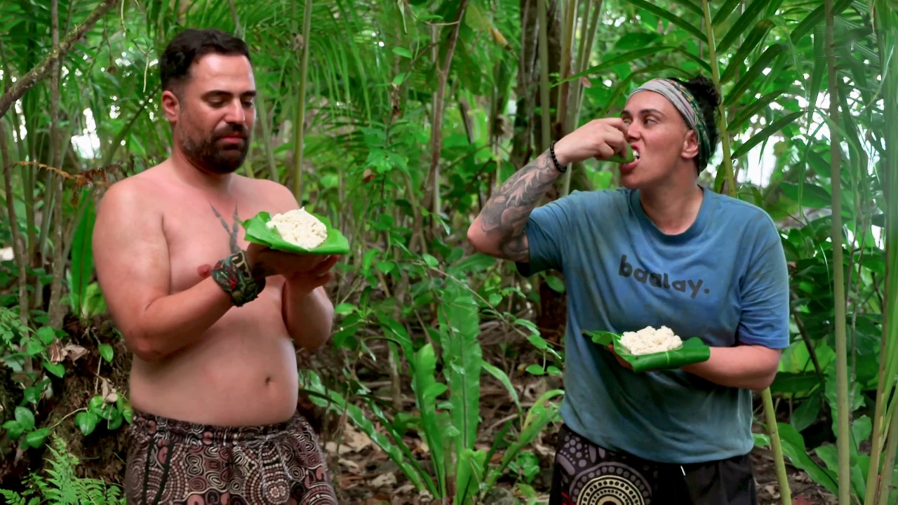 Survivor 13-3