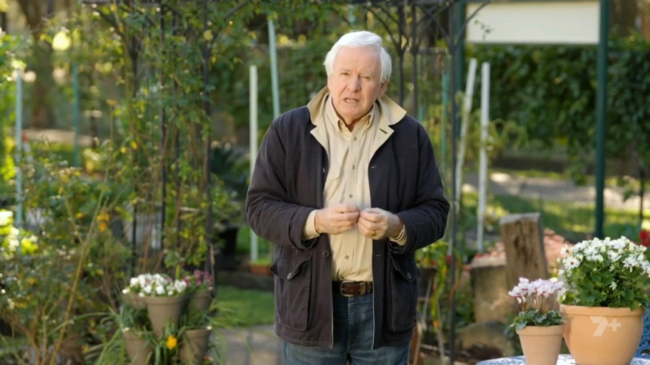 Better Homes and Gardens 31-29