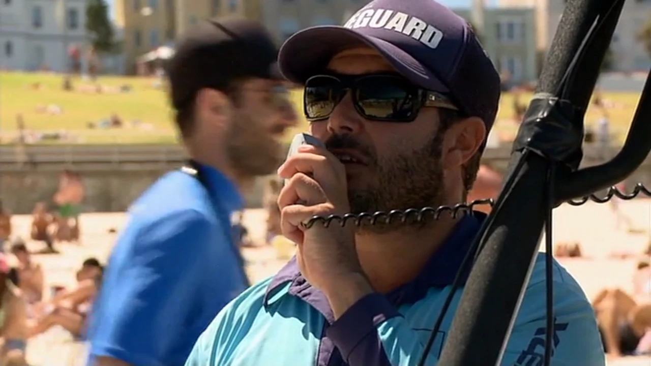 Bondi Rescue 8-5