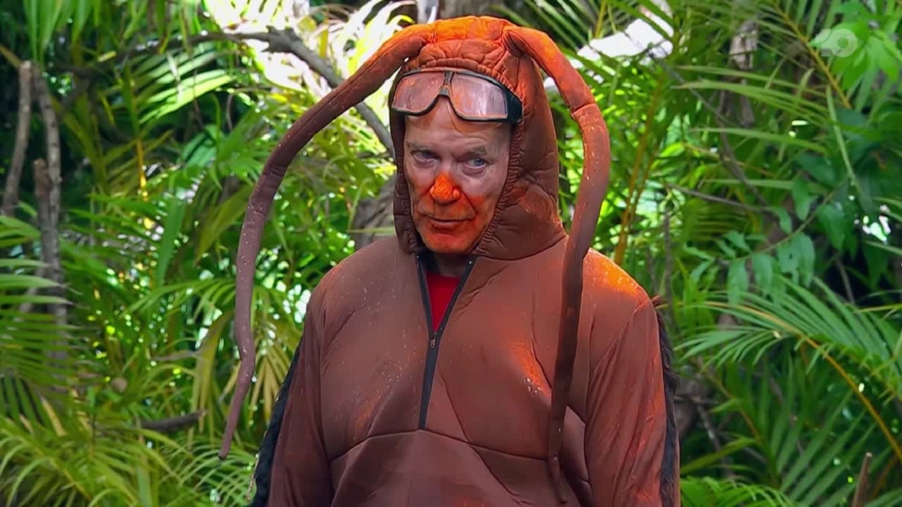 I’m a Celebrity 12-13