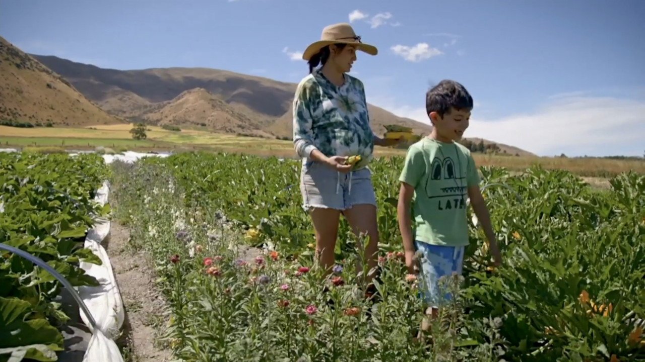 Nadia’s Farm 2-1